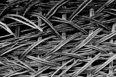 hasır çit siyah ve beyaz