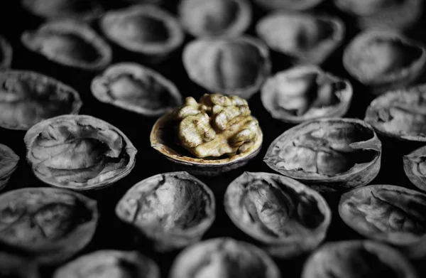 ceviz fındık gıda siyah ve beyaz