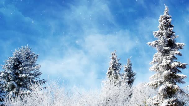 Zimowe Krajobrazy Tła Animacji — Wideo stockowe