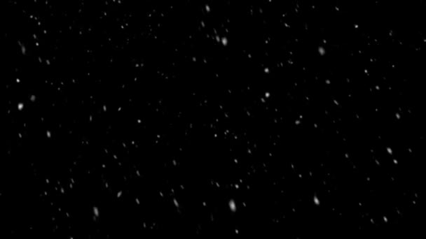 Falling Snow Overlay Loop Black Background — Stock Video