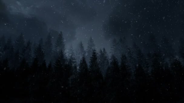 Ciemnych Zimowych Nocy Tło Pętli Animacji — Wideo stockowe