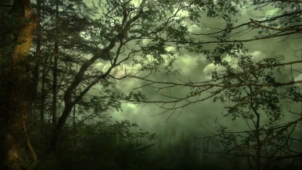 Déplacer Dans Une Forêt Effrayante Avec Ciel Nuageux — Video