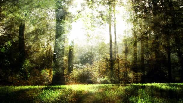 Grüne Fantasie Wald Hintergrund Animation — Stockvideo
