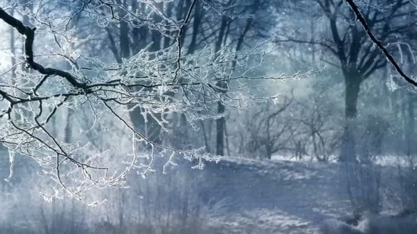 Ez video csíptet jellegét meghatározza a gyönyörű téli táj és a hóesésben