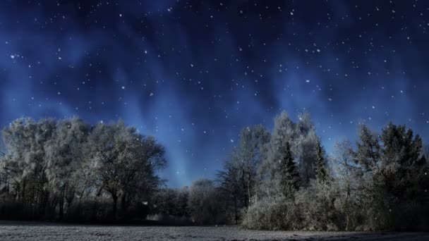 Este Video Clip Cuenta Con Hermoso Paisaje Invierno Nieve Cayendo — Vídeos de Stock