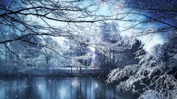 Paysage Hiver Animation Fond — Video