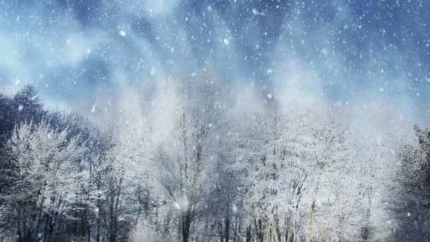 Winterlandschaft Hintergrund Animation — Stockvideo