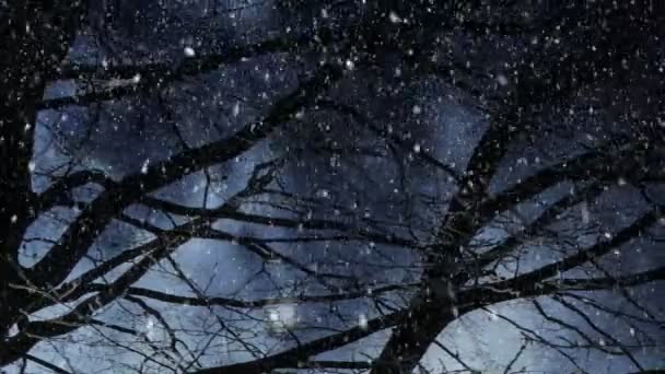 冬の風景の背景のアニメーション — ストック動画