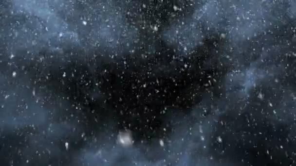 Detta Videoklipp Har Himmel Mörka Molnen Och Tunga Fallande Snö — Stockvideo