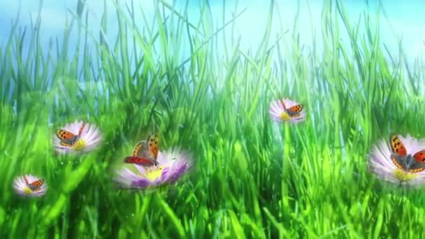 Green Meadow Butterflies — Stock Video