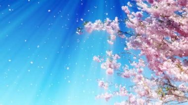 Sakura ağacı ve mavi gökyüzü animasyon