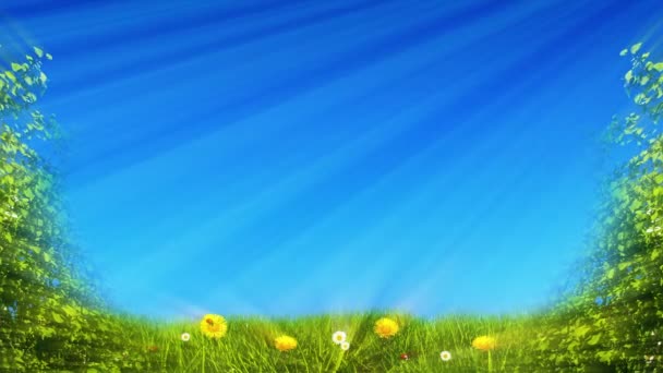 在蓝天的映衬下 野性的黄色蒲公英映衬在蓝天的映衬下 春色的田野上撒满了蒲公英 — 图库视频影像