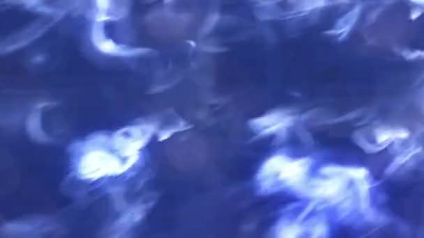 Formes Fumée Colorées Déplaçant Sur Fond Sombre — Video