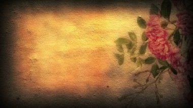 Hareket eden gölgeleri ve gül çiçekleri olan Grunge çimento duvarı