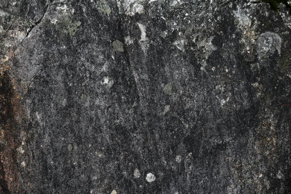 Tło Tekstury Pnia Drzewa — Zdjęcie stockowe
