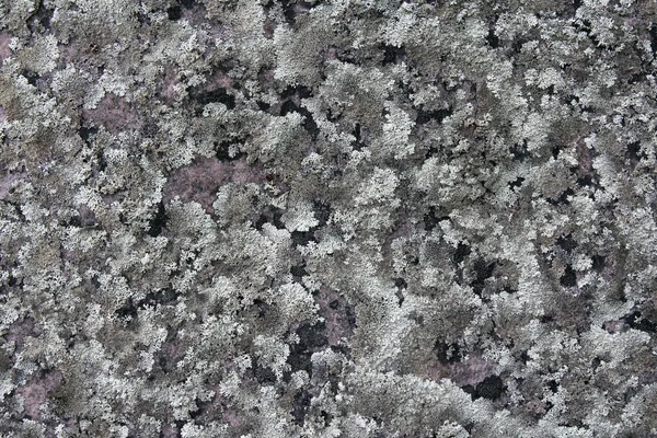 Grunge Abstrakcyjne Tło Tapety Teksturowane — Zdjęcie stockowe