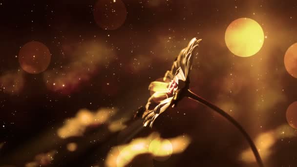 Rozmazané Květiny Pohybujícími Kulatými Částicemi — Stock video