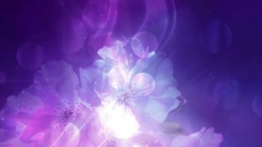 Renkli Çiçek Arkaplanı ve Yumuşak Işık 