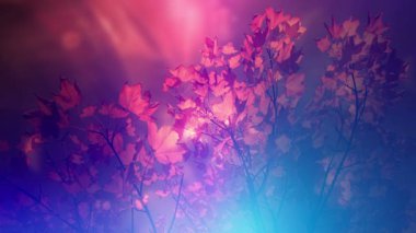 Renkli Soyut Sonbahar Sezonu Arkaplanı