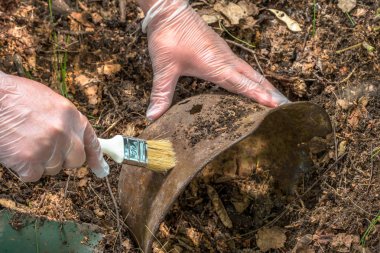 Kazı ormanın içinde. Alman kask. Taklit. WW2 kurtarma. Rusya.