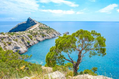 Güzel deniz manzarası. Blue Bay'de Kırım.