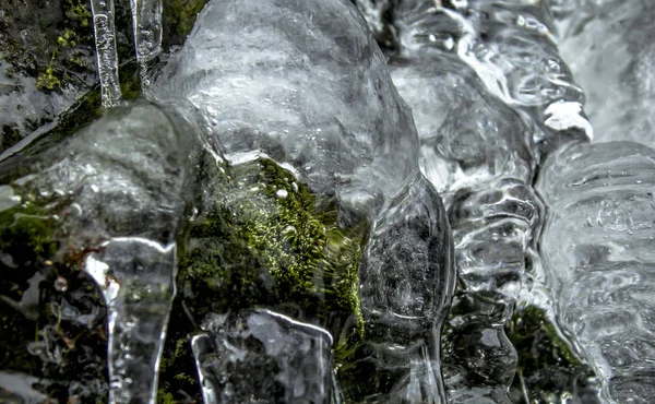 Nahaufnahme Von Moos Mit Eiszapfen — Stockfoto