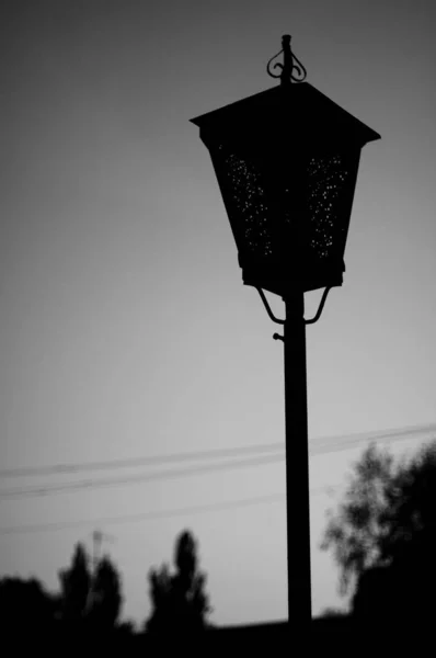 Sokak Lambasının Siyah Beyaz Çekimi — Stok fotoğraf