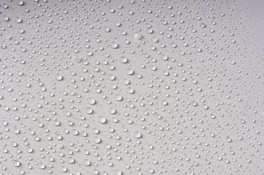 Su damlaları, beyaz bir arka plan üzerinde farklı boyutlarda