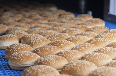 Üretim satırında susam ile pişmiş çörekler