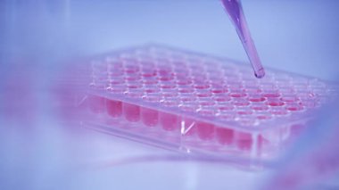 scientist dropping biochemical solution in to microplate for DNA analysis.