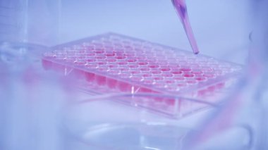 scientist dropping biochemical solution in to microplate for DNA analysis.