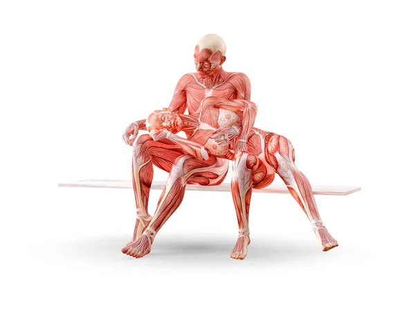 Man and woman love partners,  musculature medical anatomy figures, woman head on the man's lap. Relationship and  biological compatibility concept. 3D render — Stock Photo, Image