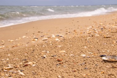 Deniz ve arkasında dalgalı karadeniz