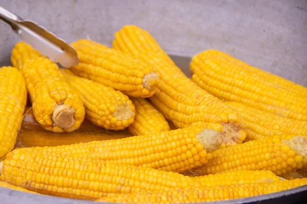 Boiled sweet corn sticks in a large plate