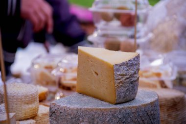 Arka sokak gıda fastiva doğranmış Gouda peyniri