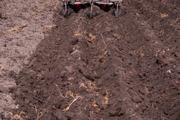 Agricultor Está Plantar Batatas Com Tractor Mecanização Trabalho Agrícola Trabalho — Fotografia de Stock