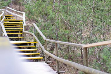 Eski ahşap köprü geçit doğal ormanlar