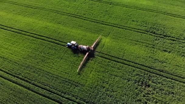 Flygfoto av traktorn sprutar gödselmedel på ett vetefält — Stockvideo