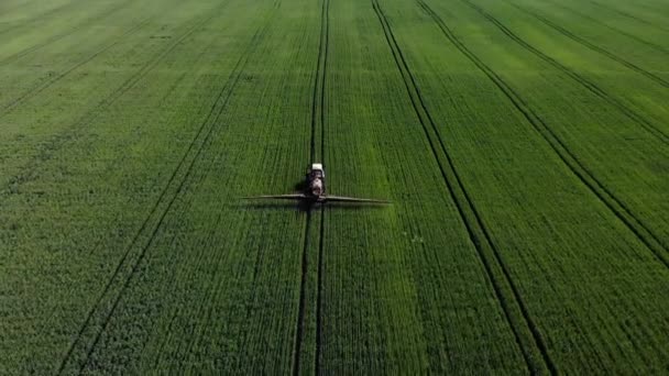 Büyük yeşil alana kimyasal böcek ilacı püskürten bir traktörün hava görüntüsü. — Stok video