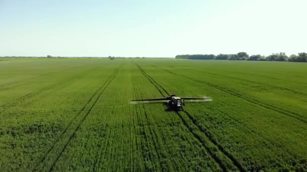 Mesin pertanian penyemprotan insektisida ke lapangan hijau, pertanian alam musim semi bekerja. — Stok Video