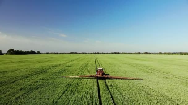 Flygfoto av traktorn sprutar gödselmedel på ett vetefält — Stockvideo