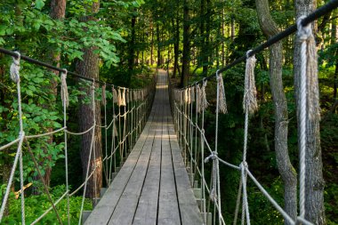 Orman macerası konsepti için iplerden ve ormandan oluşan asma köprü