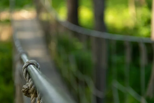 Detalle Del Puente Colgante Fondo Puente Desenfocado Espesa Vegetación Del Imagen De Stock