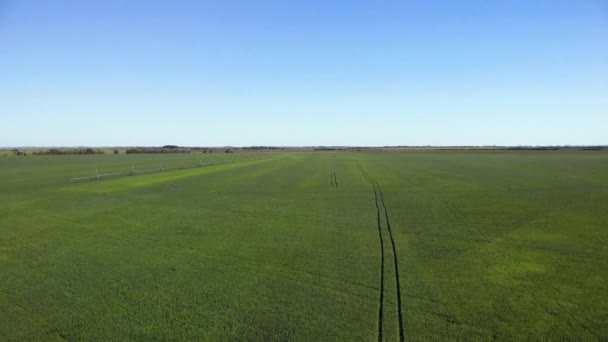 Système d'irrigation dans les champs de céréales — Video