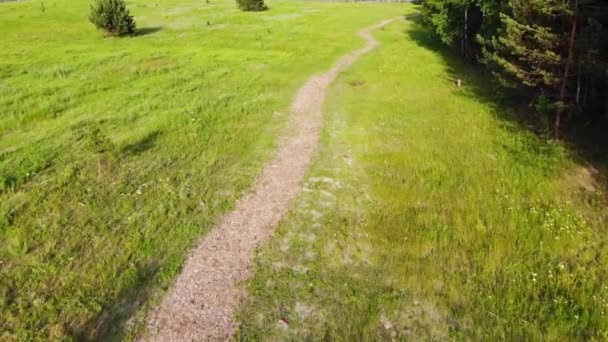 Drone Fly Over of a Single Track Trail on a Sunny Day — Stock video