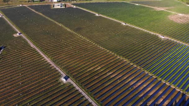 Solární Panely Elektrárny Využívající Obnovitelnou Solární Energii Sluncem — Stock video