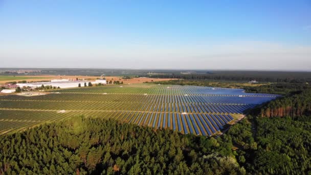 Komerční Solární Elektrárna Solární Energie Uprostřed Lesa Blízkosti Velkoměsta — Stock video