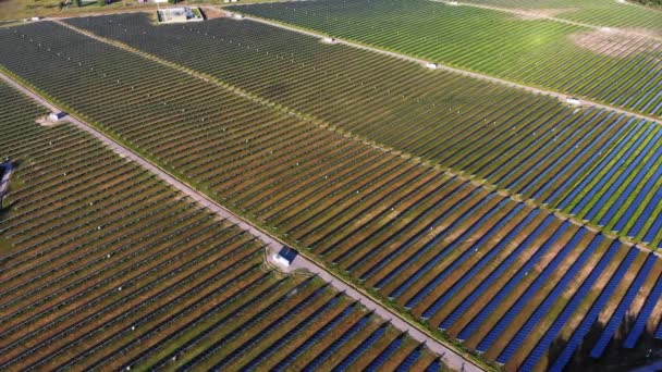 Fotovoltaické Solární Panely Pozadí Oblohy Zelené Čisté Alternativní Energie Koncept — Stock video