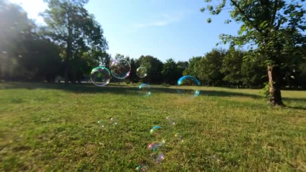 Bolhas de sabão estão voando ower parque verde no verão — Vídeo de Stock