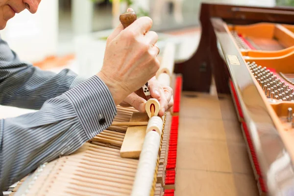 Meccanismo professionale pano tecnico riparazione martello . — Foto Stock